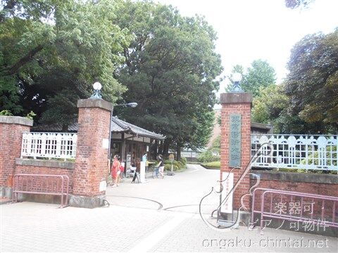 グランジット根岸ラシクラス　 24時間演奏可　東京藝術大学　上野学園大学 国立東京芸術大学