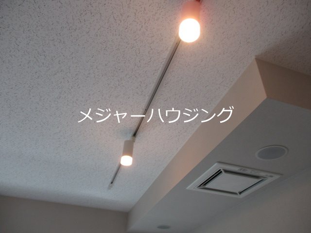 ラシクラスEX東京ベイ その他