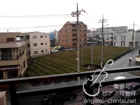 シンフォニー所沢 8:00～23:00演奏可　西武池袋線　所沢駅　武蔵野音大　日大芸術学部 眺望