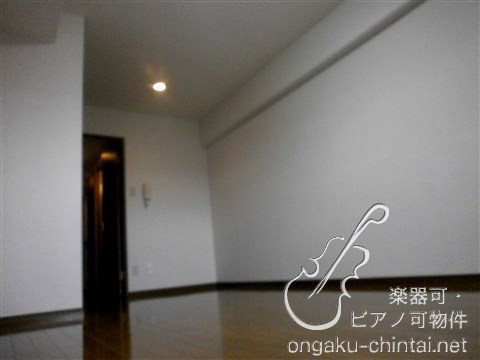 コンフォートフラッツ 8:00～22:00演奏可 国立音楽大学 その他