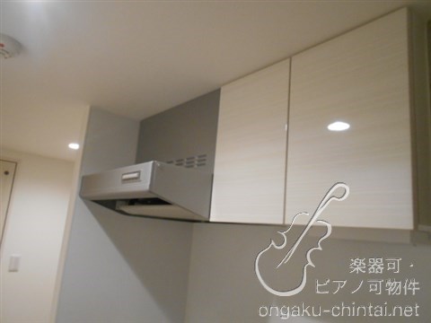 グランジット根岸ラシクラス　 24時間演奏可　東京藝術大学　上野学園大学 その他