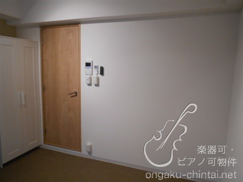 ラシクラスLAZOginza-east 24時間演奏可 弦楽器、木管楽器、電子楽器、金管楽器、鍵盤楽器、声楽 その他
