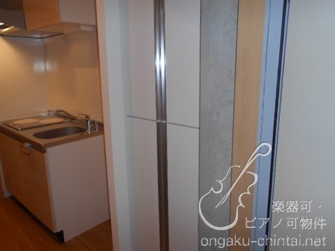 ラシクラスLAZOginza-east 24時間演奏可 弦楽器、木管楽器、電子楽器、金管楽器、鍵盤楽器、声楽 その他