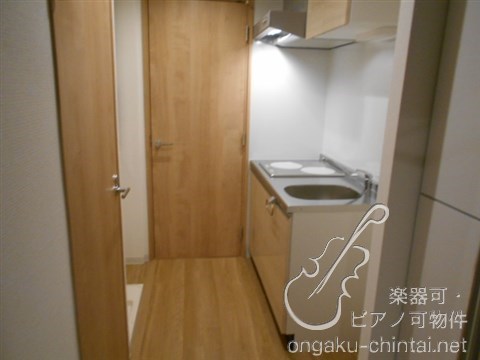 ラシクラスLAZOginza-east 24時間演奏可 弦楽器、木管楽器、電子楽器、金管楽器、鍵盤楽器、声楽 その他