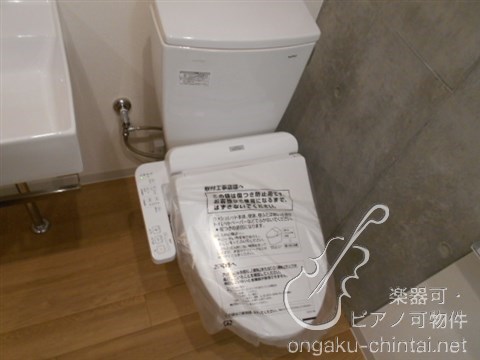 ラシクラスLAZOginza-east 24時間演奏可 弦楽器、木管楽器、電子楽器、金管楽器、鍵盤楽器、声楽 その他