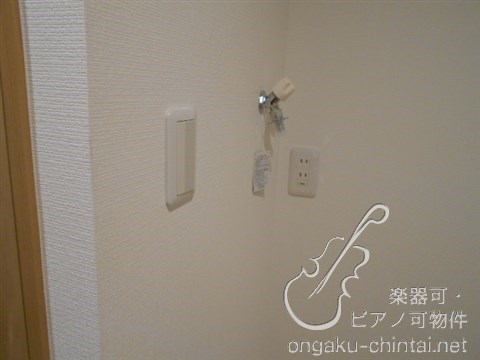 ラシクラスLAZOginza-east 24時間演奏可 弦楽器、木管楽器、電子楽器、金管楽器、鍵盤楽器、声楽 その他