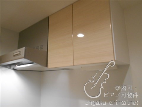 ラシクラスLAZOginza-east 24時間演奏可 弦楽器、木管楽器、電子楽器、金管楽器、鍵盤楽器、声楽 その他
