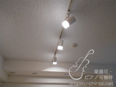 ラシクラスLAZOginza-east 24時間演奏可 弦楽器、木管楽器、電子楽器、金管楽器、鍵盤楽器、声楽 その他