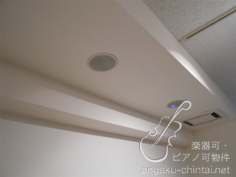 ラシクラスLAZOginza-east 24時間演奏可 弦楽器、木管楽器、電子楽器、金管楽器、鍵盤楽器、声楽 その他