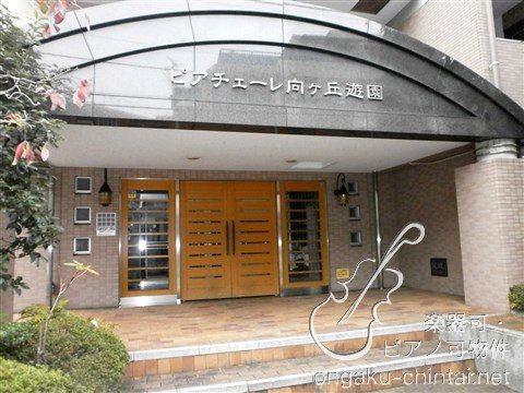 ピアチェーレ向ヶ丘遊園 8:00～23:00演奏可　昭和音楽大学 その他
