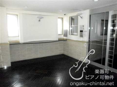 ピアチェーレ向ヶ丘遊園 8:00～23:00演奏可　昭和音楽大学 その他