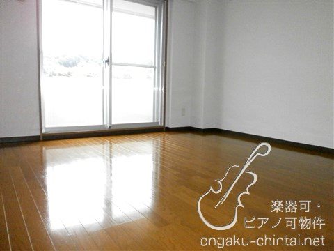 ピアチェーレ向ヶ丘遊園 8:00～23:00演奏可　昭和音楽大学 その他