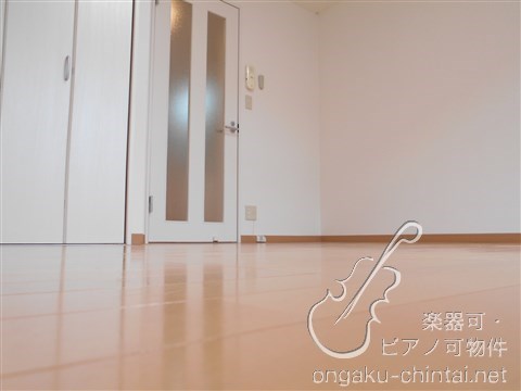 メゾンドハナ　09:00～21:00 演奏可　武蔵野音楽大学　日本大学芸術学部 その他