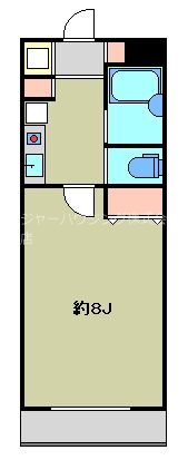 ソナーレ所沢 8:00～23:00演奏可　武蔵野音大　日大芸術学部　駅徒歩２分 間取り
