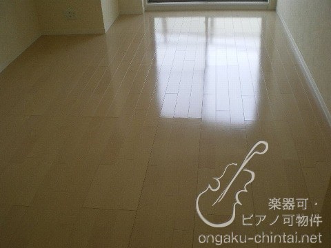 カノンハイツ 8:00～23:00演奏可　東京藝術大学　東京音楽大学 その他