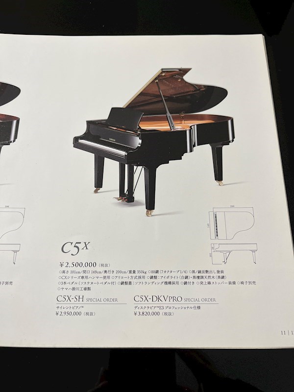 コ―ナスフロリダ　LDK防音　グランドピアノC5サイズ設置済み その他