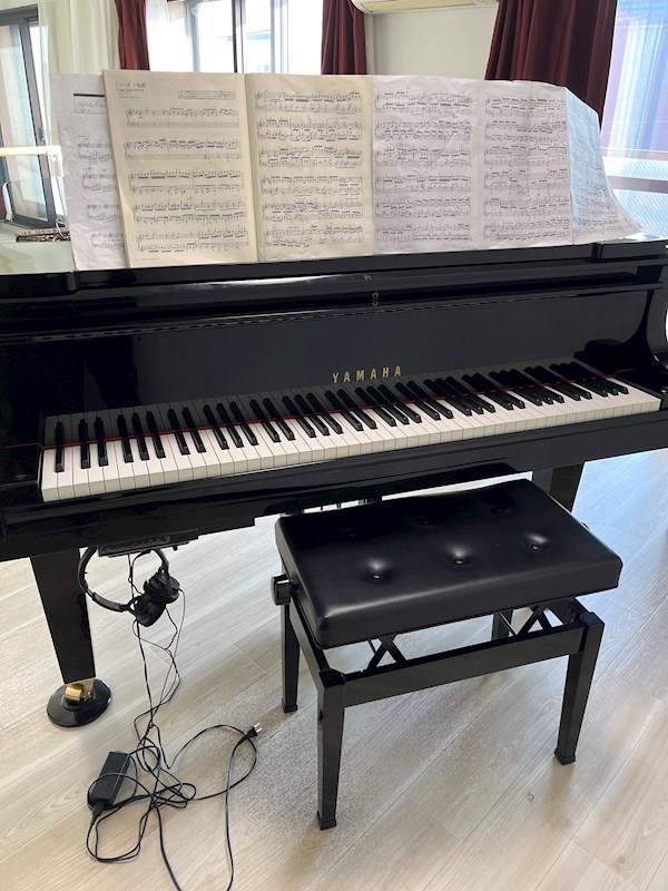コ―ナスフロリダ　LDK防音　グランドピアノC5サイズ設置済み その他