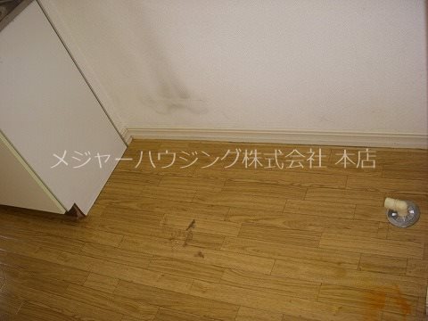 キャッスル 9:00～21:00演奏可　武蔵野音楽大学　日本大学芸術学部 洗濯機置場