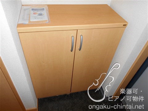 アップルヴィレッジ　9:00～20：00演奏可 武蔵野音楽大学　日本大学芸術学部 その他