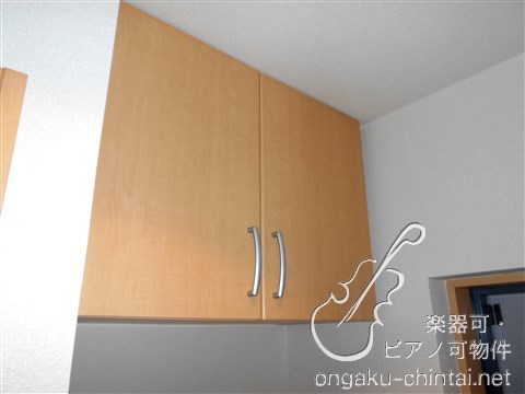 アップルヴィレッジ　9:00～20：00演奏可 武蔵野音楽大学　日本大学芸術学部 その他