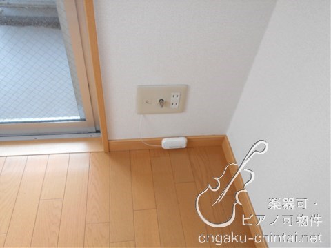 アップルヴィレッジ　9:00～20：00演奏可 武蔵野音楽大学　日本大学芸術学部 その他