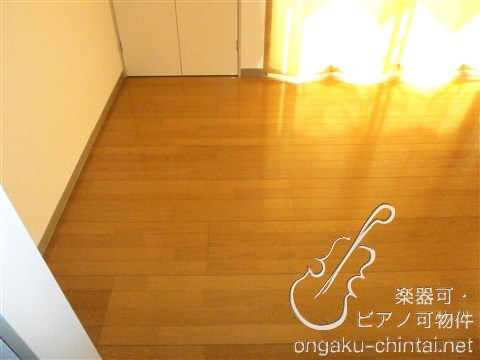 サニーハウス広木Ⅱ 9:00～21:30演奏可 その他
