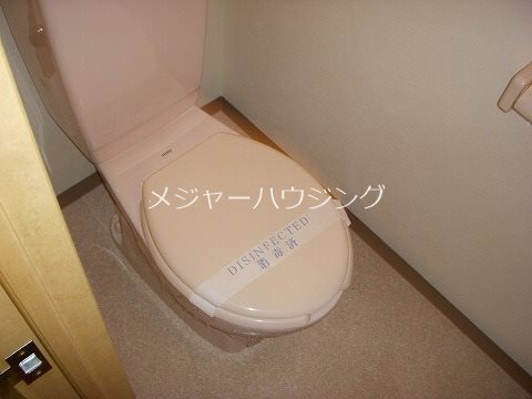 ピアチェーレ三鷹 8:00から23：00演奏可　総武線各駅停車始発駅 別タイプ