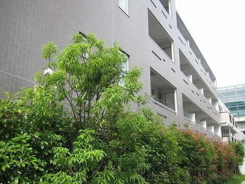 ボヌール・ロジュマン　10：00～22：00演奏可 外観
