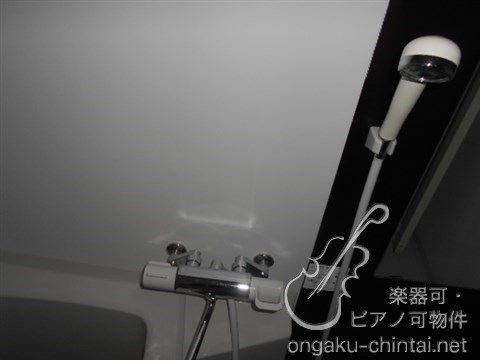 ルプログレ大塚　8：00～23：00演奏可　山手線大塚駅　音楽マンション その他