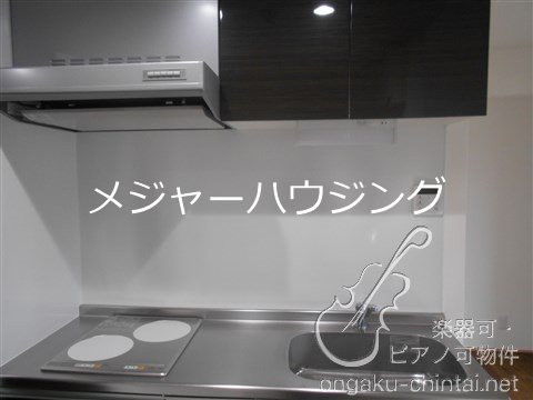 TOSCA大山 24時間演奏可 防音室　２４時間演奏可 その他