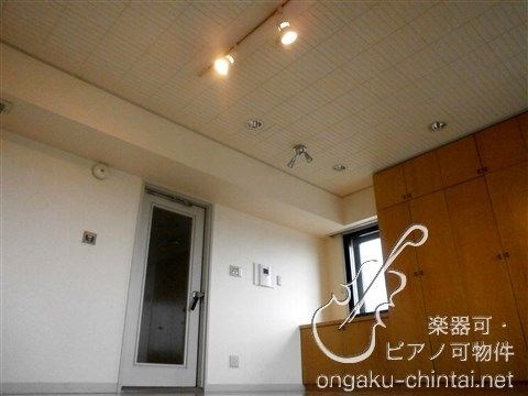 つつじヶ丘アーベント　24時間演奏可　駅徒歩2分　桐朋学園 リビング