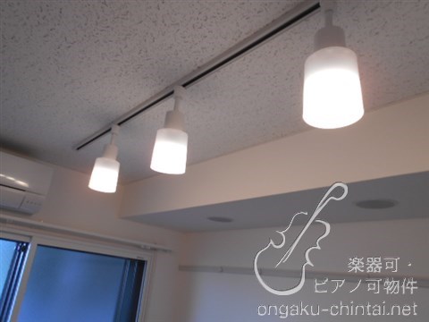 ラシクラス練馬エトワール 24時間演奏可　武蔵野音楽大学　日本大学芸術学部 その他