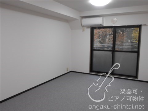 スワースモアS 9:00～22:00演奏可　　武蔵野音楽大学　日本大学芸術学部 その他
