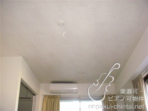 ラクイエ　8：00～23：00演奏可　京浜東北線　楽器可ファミリー その他