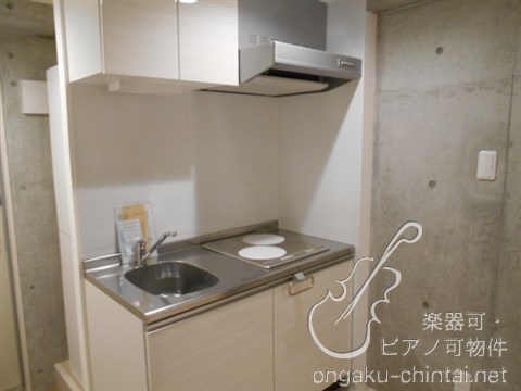 グランジット根岸ラシクラス　 24時間演奏可　東京藝術大学　上野学園大学 その他