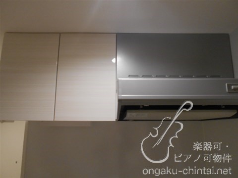 グランジット根岸ラシクラス　 24時間演奏可　東京藝術大学　上野学園大学 その他