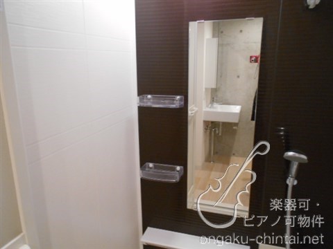 グランジット根岸ラシクラス　 24時間演奏可　東京藝術大学　上野学園大学 その他