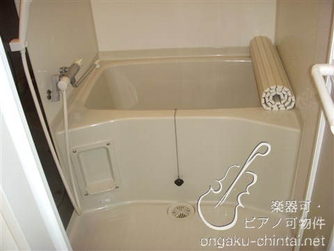 サロンノワール　8:00～23:00演奏可　グランドピアノ・声楽・弦楽器・木管・金管楽器の演奏可 風呂画像