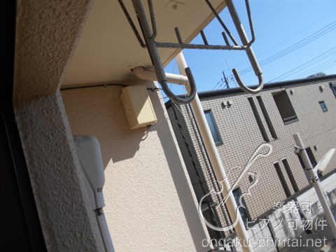 メゾン石神  09:00～21:00目安に（趣味程度） その他