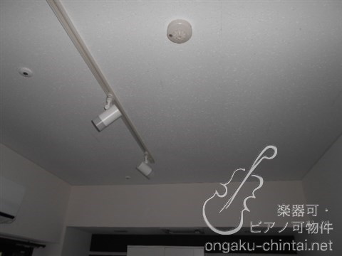 Az Music新宿御苑　24時間演奏可 その他