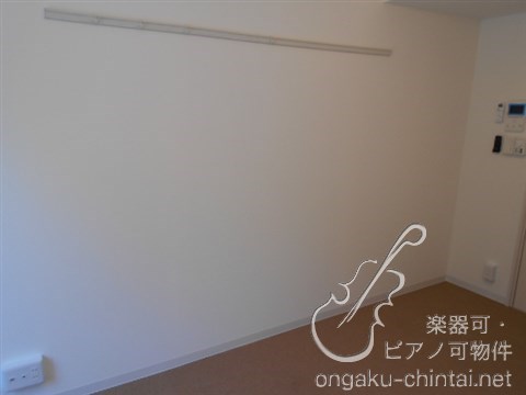 ラシクラス練馬プルミエ　２４時間演奏可　大江戸線・西武池袋線 その他
