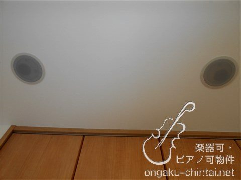 リトルズトーン城北公園 24時間演奏可 その他