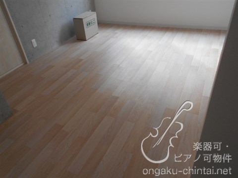 ラシクラス池袋　9時〜21時まで演奏可　　防音室 その他