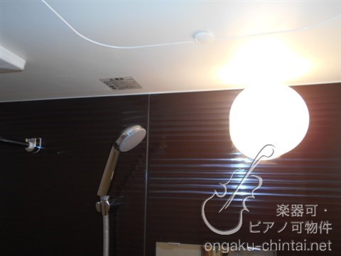 ラシクラス池袋　9時〜21時まで演奏可　　防音室 その他