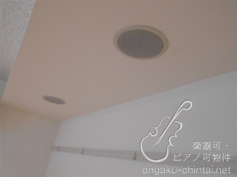 ラシクラス池袋　9時〜21時まで演奏可　　防音室 その他