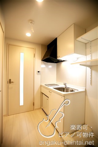 サウンドフォルム多摩川  24時間演奏可 参考