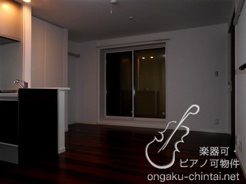 LA・VIEILLE　７時～２３時まで演奏可 その他