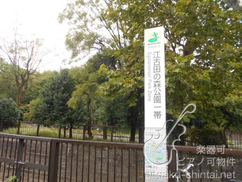 シーム江古田の森 8:00～23:00 江古田の森公園