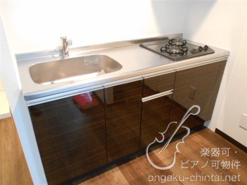 ドゥルーチェ 8:00～23:00演奏可 　グランドピアノ、声楽、弦楽器、木管楽器、金管楽器 キッチン