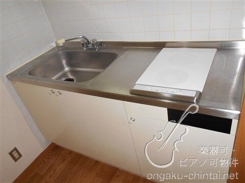 メゾンムジーク 9:00～22:00演奏可  武蔵野音楽大学　日本大学芸術学部 ＩＨ二口